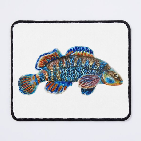 Item preview, Rainbow Darter  designed and sold by Aubree Parkinson.