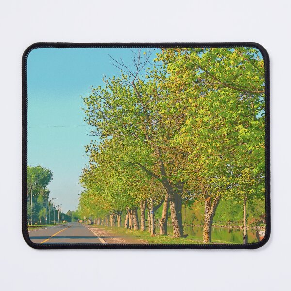 Item preview, Peaceful Street in Ontario designed and sold by corichard.