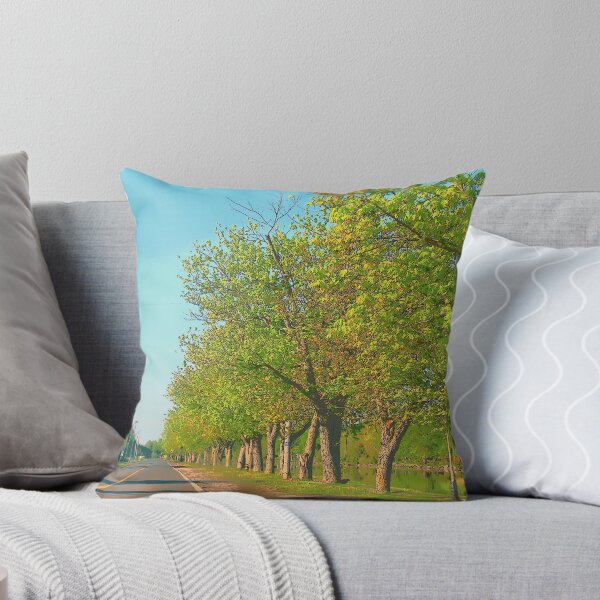 Item preview, Peaceful Street in Ontario designed and sold by corichard.