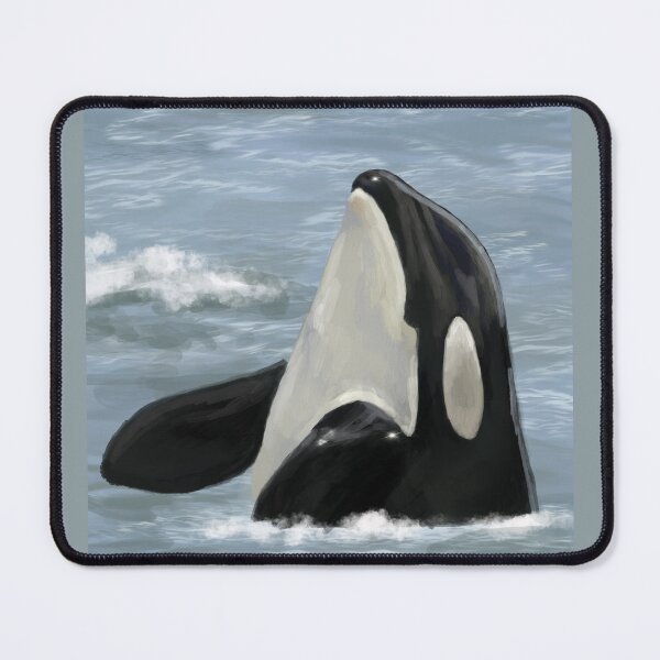 Item preview, Orca designed and sold by Aubree Parkinson.