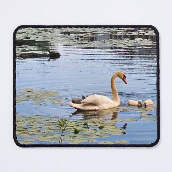 Item preview, Swans and Turtle  designed and sold by etherealwonders.