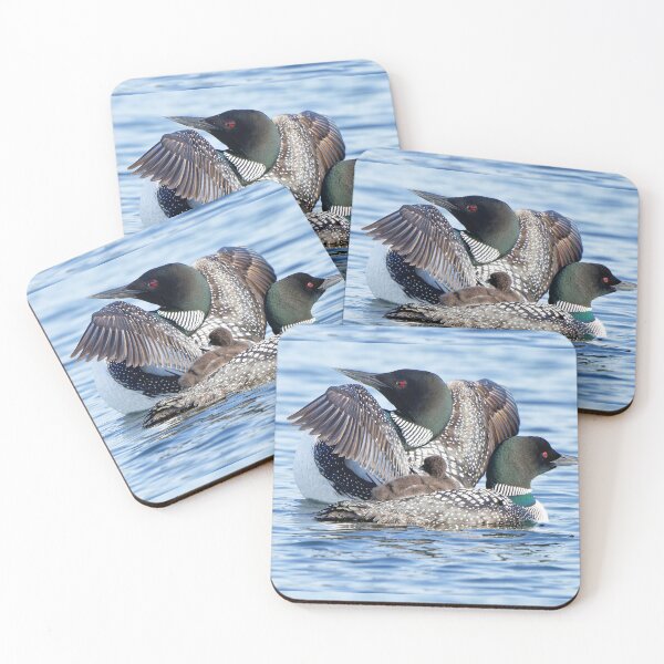 Item preview, Loon Family Portrait  designed and sold by romanmoments.