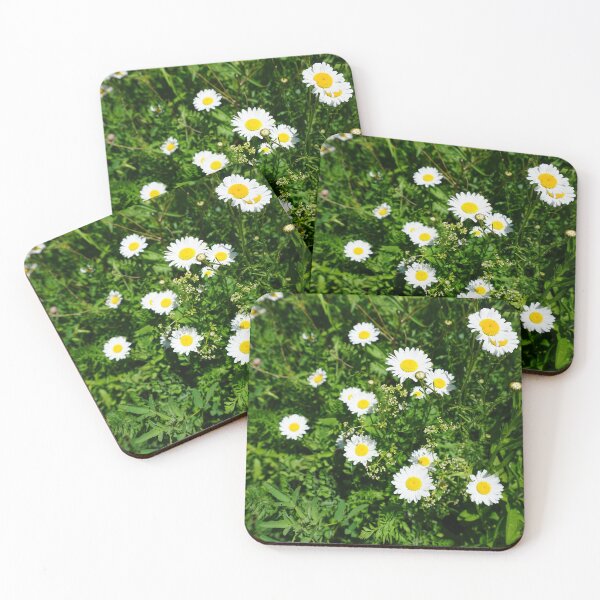 Item preview, Daisy, European species designed and sold by corichard.