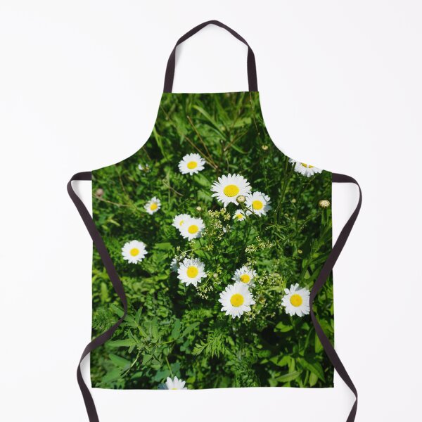 Item preview, Daisy, European species designed and sold by corichard.