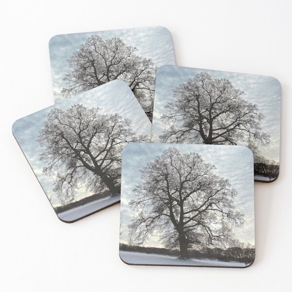 Item preview, A Mackerel Sky for New Year's Day designed and sold by Viv Thompson Photography .
