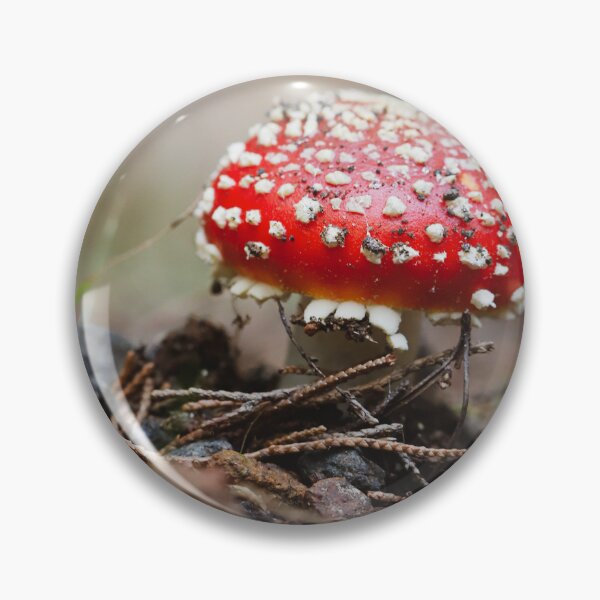 Aperçu de l'œuvre Champignon tacheté rouge/blanc créée et vendue par Cosmic  Fox Photography.