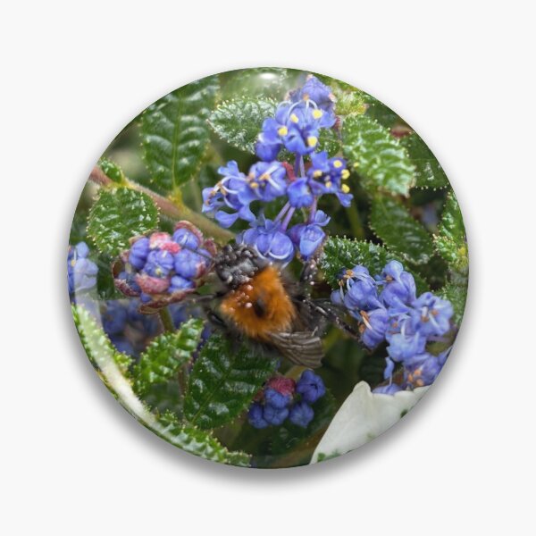 Item preview, Seeking pollen designed and sold by Hazel McKinnon.