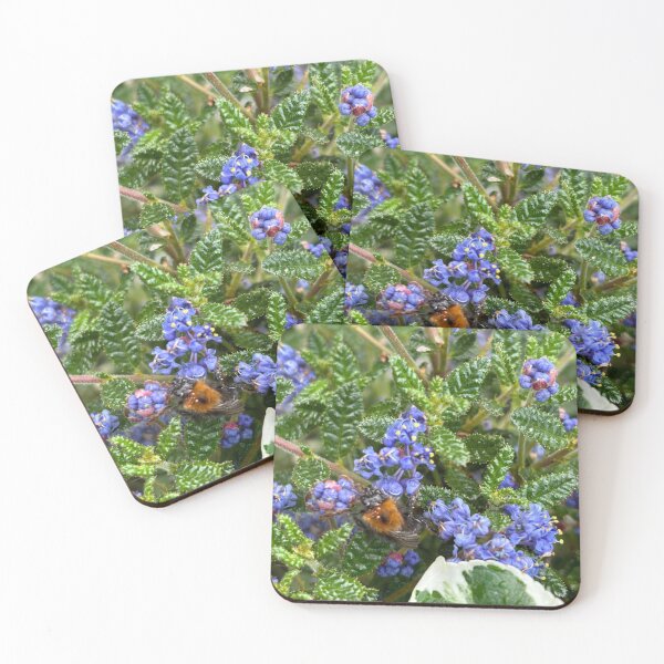 Item preview, Seeking pollen designed and sold by Hazel McKinnon.