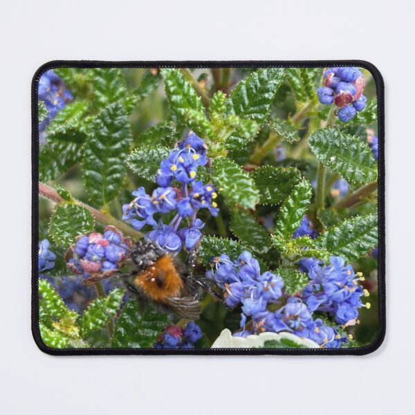 Item preview, Seeking pollen designed and sold by Hazel McKinnon.
