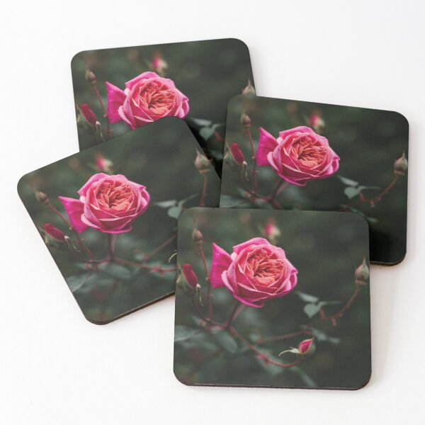 Item preview, Kissed by a Rose designed and sold by Glenn Stephenson.