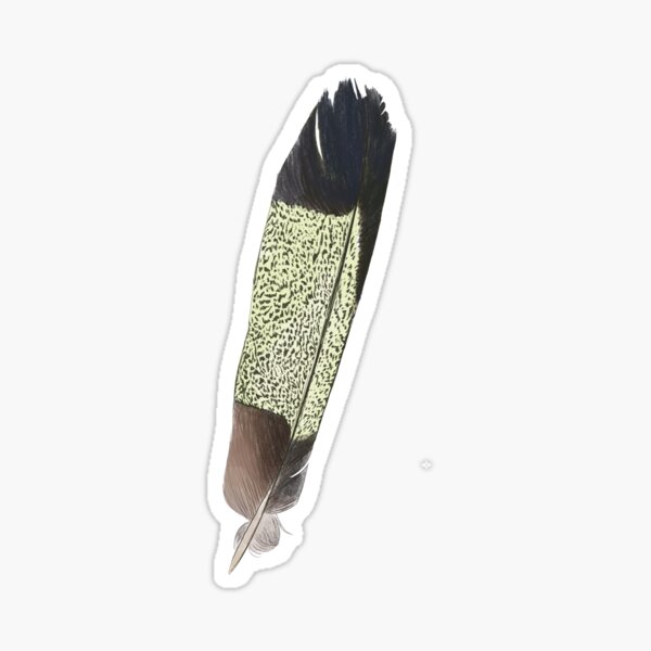Item preview, Yellow Tailed Black Cockatoo Feather designed and sold by Lily Tomkinson.