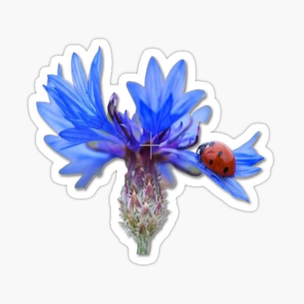 Messenger of luck on azure blossom Sticker