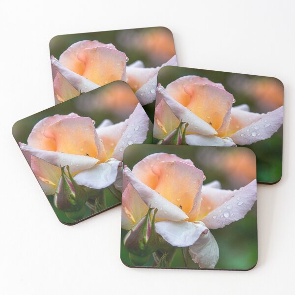 Item preview, rose designed and sold by Erwin G. Kotzab.