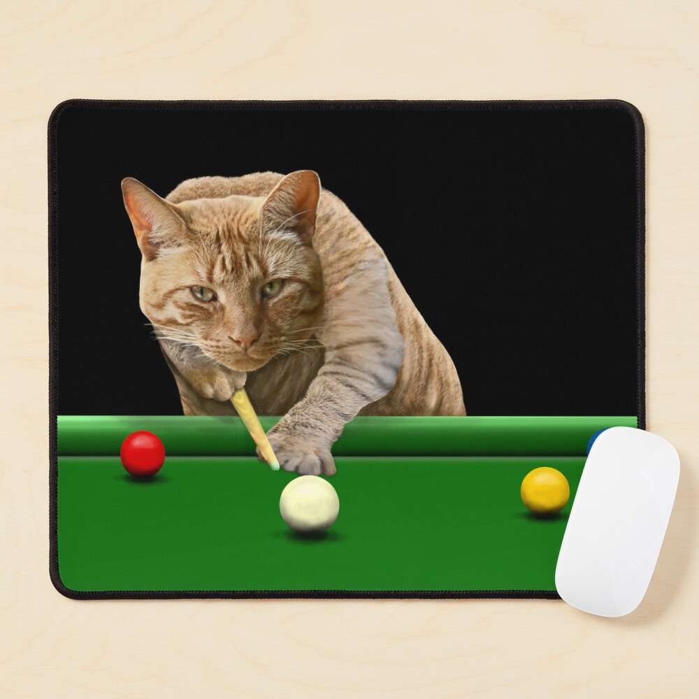 SNOOKER CAT