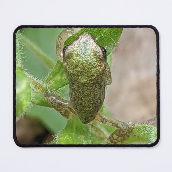 Item preview, Climbing Baby Tree Frog designed and sold by bufobuffoon.