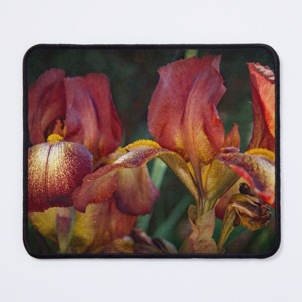 Item preview, Glowing Iris designed and sold by Alexandra Lavizzari.