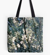 Salix Blossoms and Light Tote Bag
