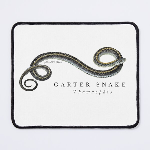 Item preview, Garter Snake Painting - Thamnophis designed and sold by TheDrawingZoo.