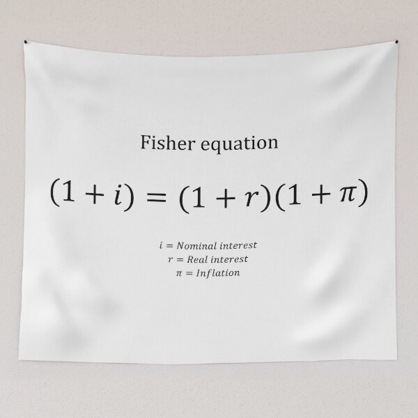 Item preview, Fisher equation with description designed and sold by moneyneedly.