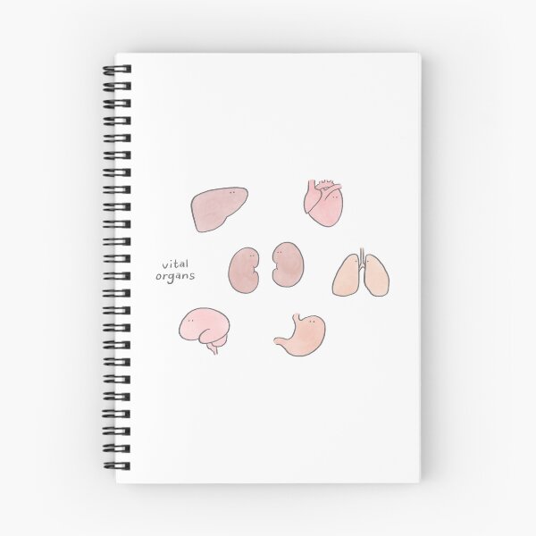 Item preview, Aesthetic Cute Vital Organs Sticker Pack designed and sold by lameowee.