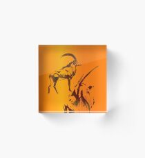 GEMSBUCK (ORYX GAZELLA) KALAHARI DESERT Acrylic Block