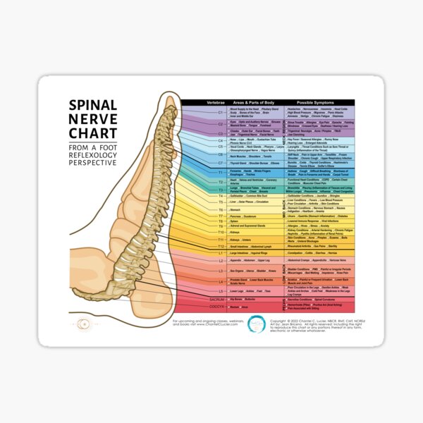 Item preview, Foot Reflexology Chakra Spinal Nerve Chart designed and sold by ChantelCLucier.