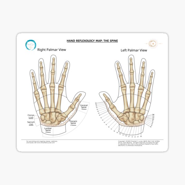 Item preview, Hand Reflexology Map: The Spine designed and sold by ChantelCLucier.