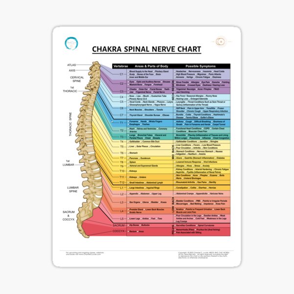 Item preview, Chakra Spinal Nerve Chart designed and sold by ChantelCLucier.