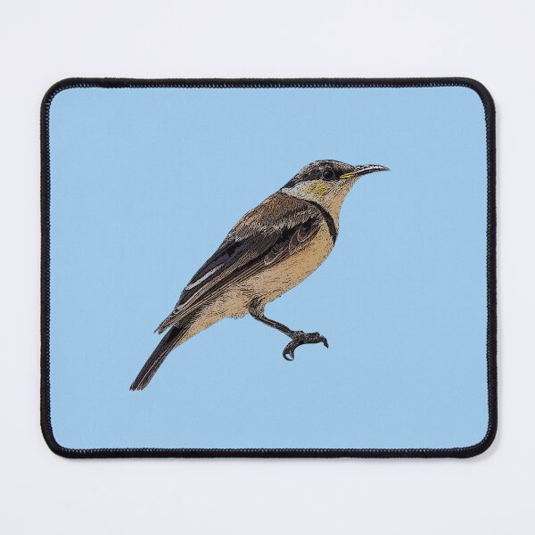 Item preview, Banded Honeyeater Color Design designed and sold by designsasstultd.