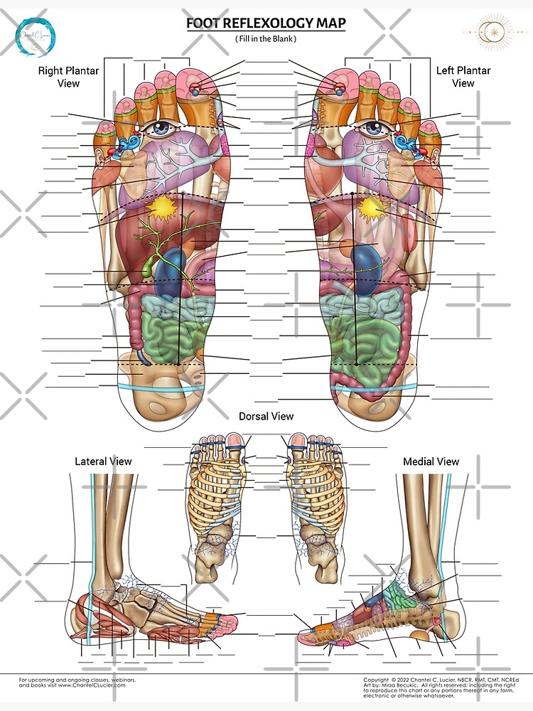 foot-reflexology-map-fill-in-the-blanks-poster-for-sale-by-chantelclucier-redbubble for Foot Reflexology Chart Printable Free Foot Reflexology Map (fill in the blanks)