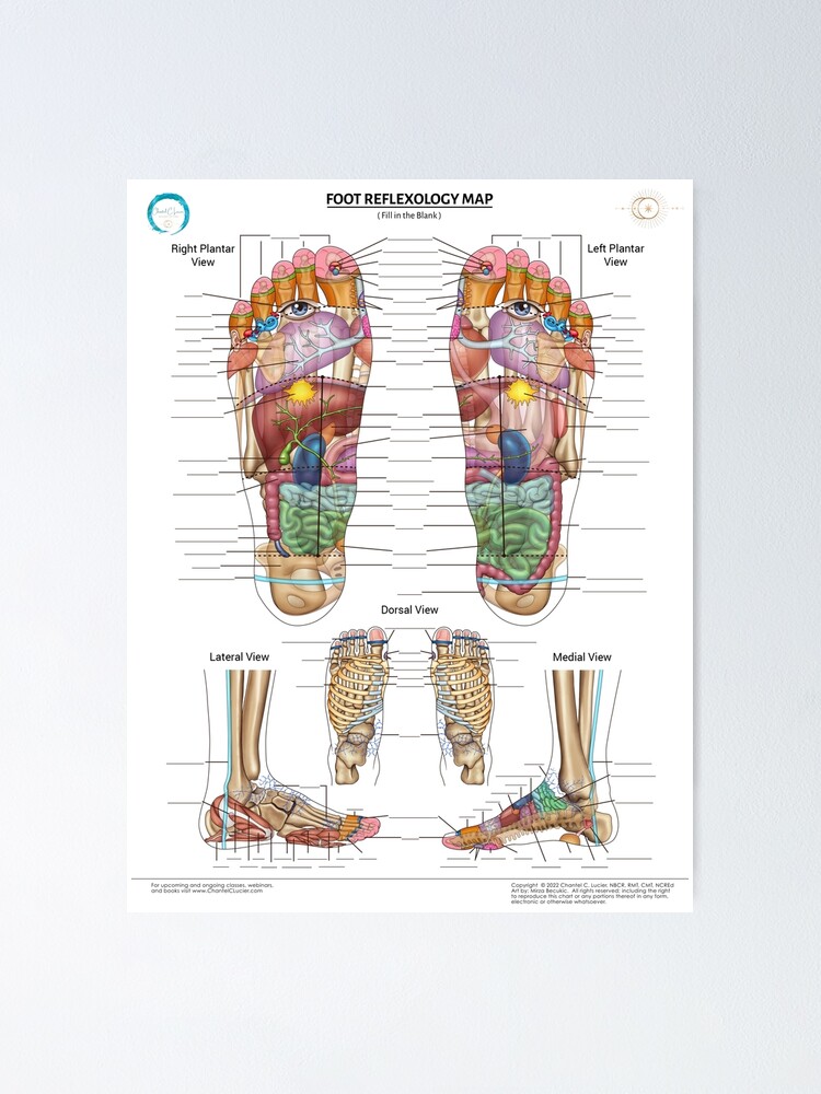 foot-reflexology-map-fill-in-the-blanks-poster-for-sale-by-chantelclucier-redbubble for Foot Reflexology Chart Printable Free Foot Reflexology Map (fill in the blanks)