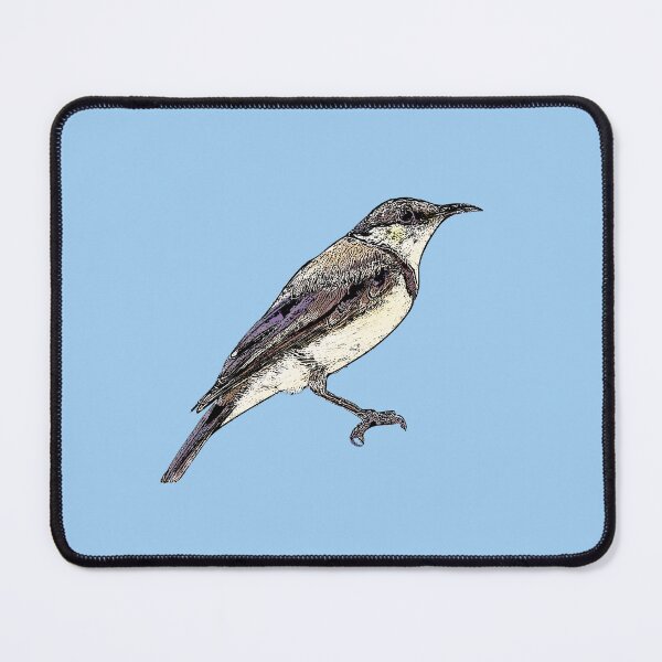 Item preview, Banded Honeyeater Black Alternate Design designed and sold by designsasstultd.