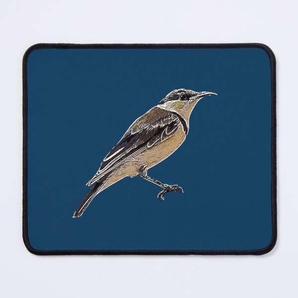 Item preview, Banded Honeyeater White Alternate Design designed and sold by designsasstultd.