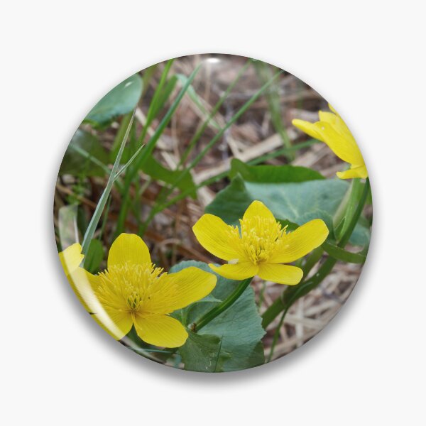 Item preview, Yellow by the lake. Marsh-marigold designed and sold by Jouko Lehto Photography.
