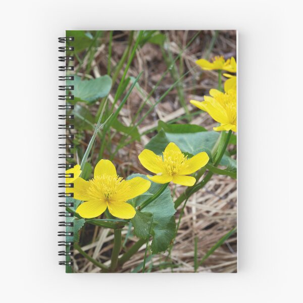Artikelvorschau, Gelb am See. Sumpfdotterblume entworfen und verkauft von Jouko Lehto Photography.