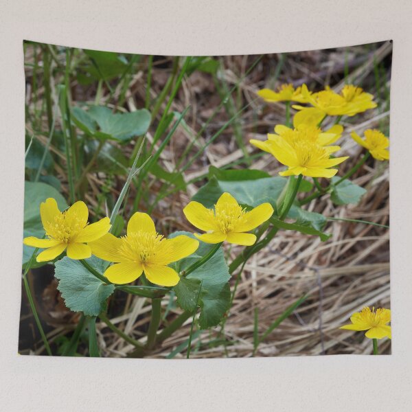 Item preview, Yellow by the lake. Marsh-marigold designed and sold by Jouko Lehto Photography.