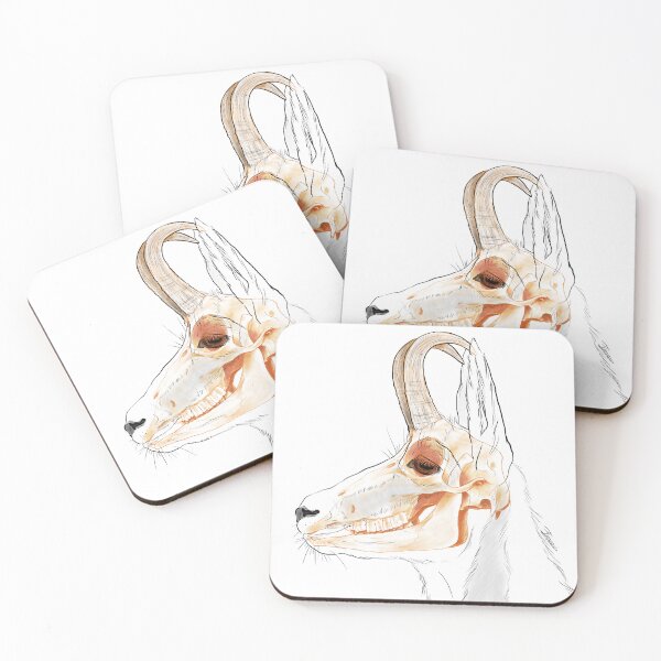 Item preview, Anatomical study - Chamois designed and sold by ExcaliburNoire.
