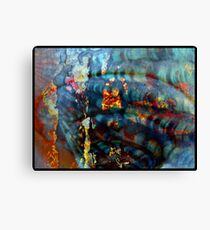 Visionary Canvas Print