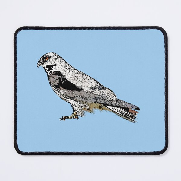 Item preview, Black-shouldered Kite Black Alternate Design  designed and sold by designsasstultd.