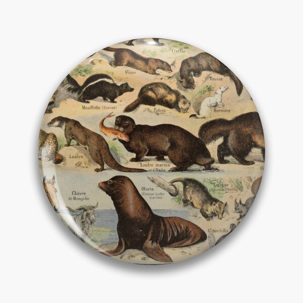 Item preview, Adolphe Millot Fourrures Vintage designed and sold by MyTutina.