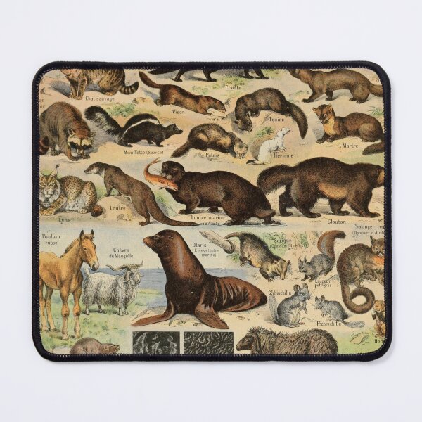 Item preview, Adolphe Millot Fourrures Vintage designed and sold by MyTutina.