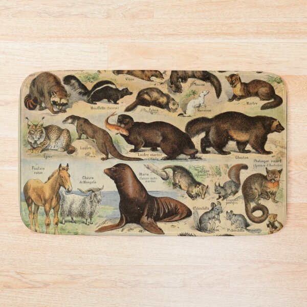 Item preview, Adolphe Millot Fourrures Vintage designed and sold by MyTutina.