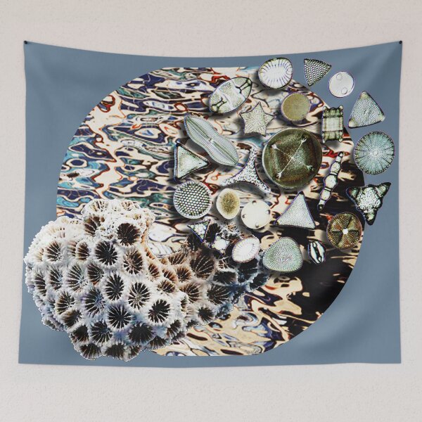 Item preview, HAPPY DIATOMS designed and sold by Dagagi.