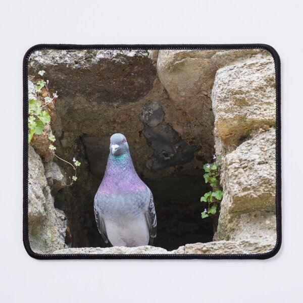 Item preview, Pigeon Hole designed and sold by GingerMan2550.