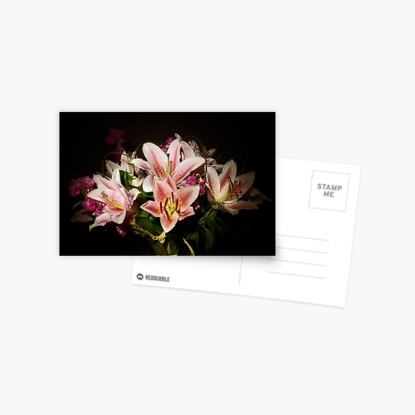 Flowers By Torch light Postcard