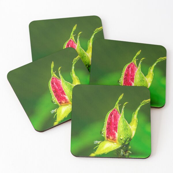 Item preview, flower leaf macro designed and sold by oleg gendel.