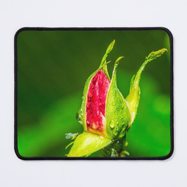 Item preview, flower leaf macro designed and sold by oleg gendel.