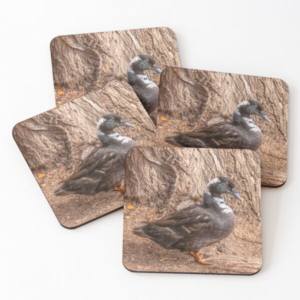 Item preview, Brown and White Duck designed and sold by SafariByMarisa.