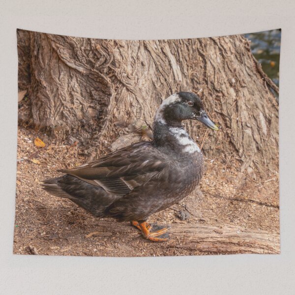 Item preview, Brown and White Duck designed and sold by SafariByMarisa.