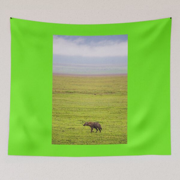 Item preview, Tanzania. Ngorongoro Conservation Area. Spotted Hyena. designed and sold by vadim19.
